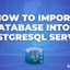 How to Import Your Database into a PostgreSQL Server