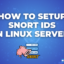 How to Setup Snort Ids On Linux Servers