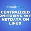 Setting Up Centralized Monitoring with Netdata on Linux Server